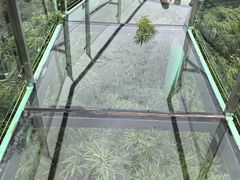 -陶祖圣境风景区
