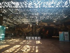 -杭州开元森泊度假乐园