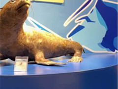 -多彩贵州城极地海洋世界