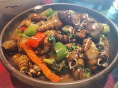 紫苏山坑螺-园林美食城·本土农家菜(杨和镇店)