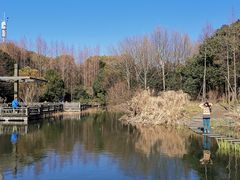 -上海吴淞炮台湾国家湿地公园