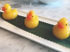 -唐阁海景中餐厅·早茶·粤菜•生日聚餐(海口朗廷酒店)