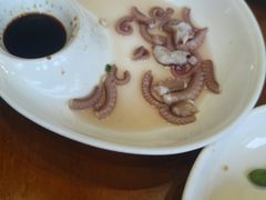 白灼八爪鱼-丰收渔港饭店(嵊泗店)