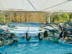 -上海野生动物园