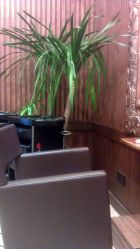 店内环境-红人馆造型世爵国际