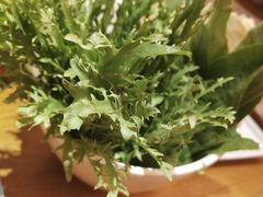 -新凯里酸汤鱼(飞山街店)