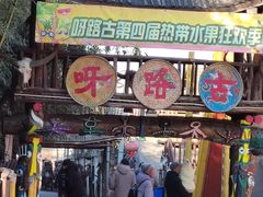 -呀路古热带植物园