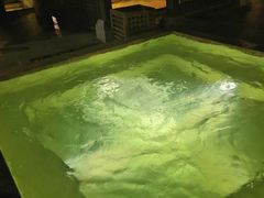 -春晖园度假酒店温泉