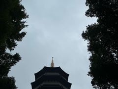 -杭州君悦酒店·湖滨28中餐厅