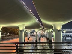 -演武大桥观景平台