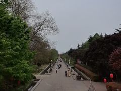 -洛阳市隋唐城遗址植物园