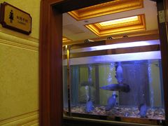 -肇庆奥威斯酒店