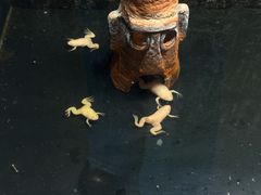 -大连圣亚海洋世界