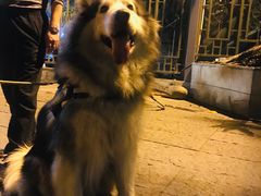 -归觅·西关小姐人文艺术馆(荔枝湾店)