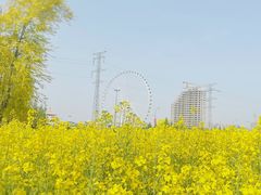 -诗经里