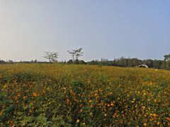 -同里国家湿地公园