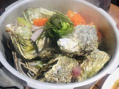 -陈记高压锅鱼头·生蚝