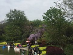 -赭山公园