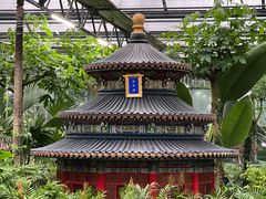 -南宫五洲植物乐园