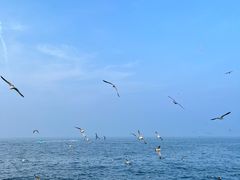 -大连海昌东方水城