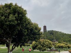 -红花山公园