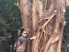 -人民公园(罗湖区)