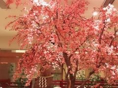 -大江户·温泉洗浴(浑南店)