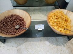 -北京临空智选假日酒店