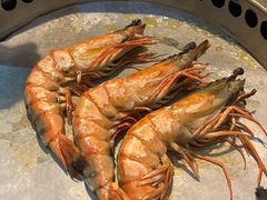 -熊出没日本烧肉放题