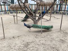 -济南野生动物世界