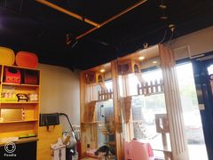 -猫十亿·布偶金渐层·曼基康矮脚猫舍(青年路店)