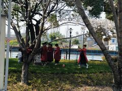 -高东镇樱花园