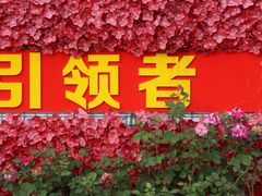 -安仁古镇