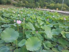 -白鹿原影视城