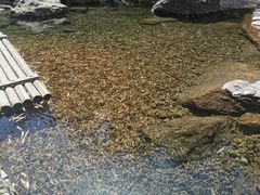 -山沟沟景区