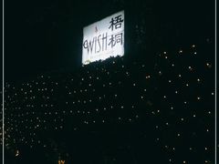 -梧桐