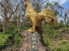 -海口火山口国家地质公园