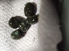 -库迪咖啡(兆丰广场店)