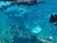 -珠海长隆海洋王国