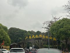 -天鹿湖森林公园