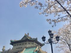 -武汉大学-樱园