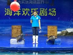-重庆欢乐海底世界