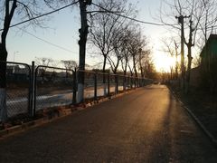 -北京鹿世界主题园