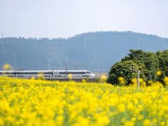 -光明小镇欢乐田园