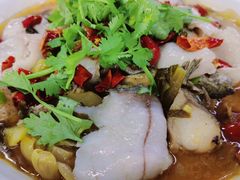 老坛酸菜鱼-皮记海鲜1995(寮步店)