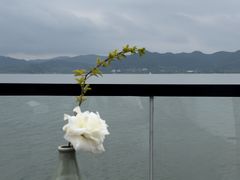 -东钱湖旅游度假区