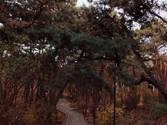 -红螺寺