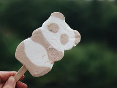 -成都大熊猫繁育研究基地