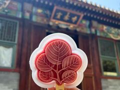 -香山公园