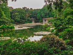 -杭州植物园